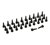 Truvativ Holzfeller Pedal Pins 32 Units Noir