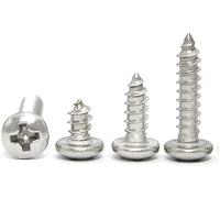vis, vis en acier inoxydable, Lot de 100 vis autotaraudeuses à tête ronde cruciforme en acier inoxydable for métal
