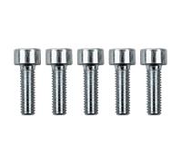Vis Wolf M5x16 pour HKP et WWT 8612390 pour CGG