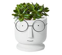 Visage Cache-pot Jardinière Ciment Pots De Fleurs,Petit Céramique Succulente Pot,Créatif Lunettes Visage Pots De Plantes Pots De Cactus Pour Accueil Bureau Mariage Décor-Blanc gris 16.7x16.7x16.7cm(7x
