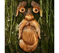 Visage d'arbre, décoration de Visages d'arbre, décoration d'arbre, décorations d'arbres en Plein air, Arbre Hugger, mangeoires à Oiseaux Uniques pour l'extérieur et l'intérieur - Art de l'arbre de