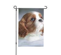 Visage de Cavalier King Charles Spaniel,Drapeau de jardin décoratif double face pour intérieur et extérieur, 30 x 45 cm