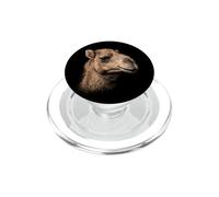 Visage de Chameau Désert Faune Nature Chameau PopSockets PopGrip pour MagSafe