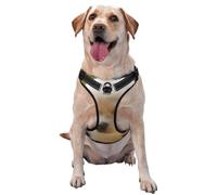 Visage de Chien Chihuahua Blanc,Harnais pour Animaux de Compagnie, Harnais réfléchissant réglable pour Chien,M