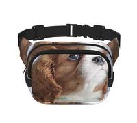 Visage du Cavalier King Charles Spaniel,Sac Banane carré Double Couche, Sac de Poitrine