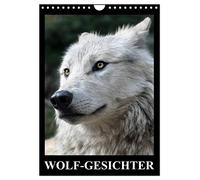 Visages de loups, Version française (Calendrier mural 2026 DIN A4 portrait), Calendrier CALVENDO mensuel