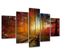 Visario 5530 des Photos et des Impressions d'art sur Toile Image 160 x 80 cm, Les Arbres forêt lichtung Couleurs 5