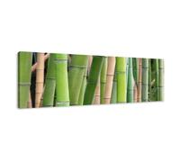 Visario 5705 Tableau en Toile Motif Bambou 120 x 40 cm
