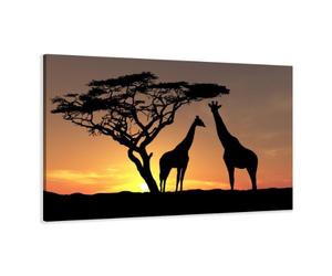 Visario Image sur Toile 80 x 60 cm Modèle N° XXL 4034 des Animaux Tableaux pour la Mur, encadrés, prêts à Poser, Tout Les Images sur châssis géant Bois véritable.