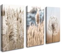 Visario Tableau sur toile encadré Boho Herbe de la pampa Pissenlit 120 x 80 cm 4427