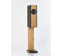 Visaton ALTO III C Kit Noir 100 W