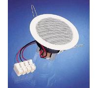 Visaton DL 8 100 Volt Haut-Parleurs Weißübertrager