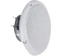 Visaton FR 10 WP 4 OHM - Haut-parleur - 20 Watt - blanc G
