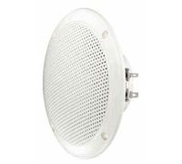Visaton Fr 13 Wp 4 Ohm (Blanc) Haut-Parleur 280036