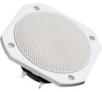 Visaton FRS 10 WP - 4 Ohm 4 pouces 10 cm Haut-parleur large bande 25 W 4 Ω blanc enceinte de sauna, enceinte encastrable, résiste