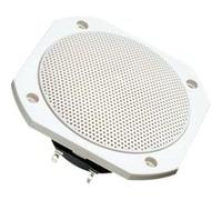 Visaton FRS 10 WP - 4 Ohm 4 pouces 10 cm Haut-parleur large bande 25 W 4 Ω blanc enceinte de sauna, enceinte encastrable, résiste
