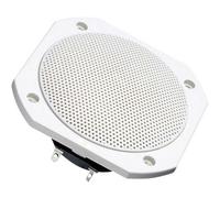 Visaton FRS 10 WP - 8 Ohm 4 pouces 10 cm Haut-parleur large bande 25 W 8 Ω