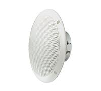 Visaton VS-FR16WP/4 Haut-parleur large bande 16 cm