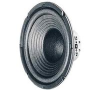 Boomer Visaton W 200