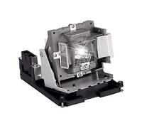 Visdia BL-FU310B/581118436-SVV Lampe de rechange avec boîtier pour projecteurs Optoma EH500 X600 BR561 VIVITEK D966HD D967 D968U