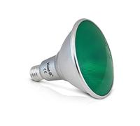 Vision-EL 78109 Ampoule LED E27 par38 16W vert, Aluminium/PC, E27, 16 W, Gris, (H x Ø)-134 x 122 mm