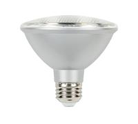 Vision-EL 781142 LED PAR30 12 Watt E27 4000°K IP65 Boite, Aluminium/PC, W, Gris