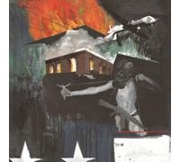 Vision of Disorder – Razed From The Ground – Vinyle LP neuf coloré