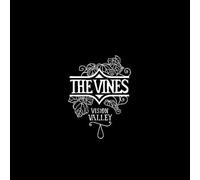 Vision Valley