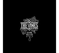 Vision Valley