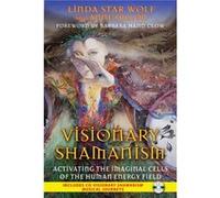 Visionary Shamanism by Anne Anne Dillon Dillon Collectif (Auteur)