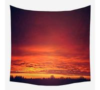 VISIONO Tenture Tapisserie,Beautiful Natural Scenery Tapestry Sunset Sky Wall Hangings Polyester Wall Art Wall Decor for Decorate Living Room,Apartment,Dormitory,Room,51.2X59.1Inch