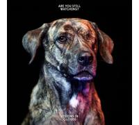 Visions In Clouds: Are You Still Watching [CD]