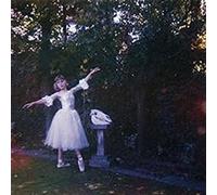 Visions Of A Life Double Vinyle Gatefold Vinyle