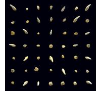 clipping. Visions of Bodies Being Burned (Vinyl) 12" Album