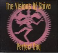 Visions of Shiva - Perfect Day [Import]