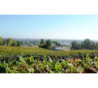 Visite à 360° du Château Belloy et dégustation de vins - en duo