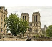 Visite à pied de l île de la Cité avec accès à la crypte