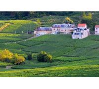 Visite d une demi-journée à Epernay Sud et dégustations de champagne