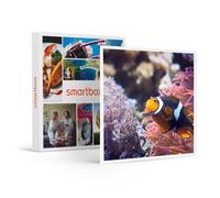 Visite De L?Aquarium Sea Life De Val D'europe - Smartbox - Coffret Cadeau Sport & Aventure