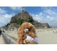 Visite du Mont Saint Michel en petit groupe et du Débarquement en minivan