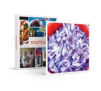 Visite D'une Safranière Et D'un Vignoble En Agriculture Biologique Avec Dégustations - Smartbox - Coffret Cadeau Gastronomie