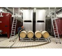 Visite et Dégustation de 4 Crémants de Bourgogne 1h30