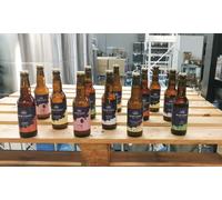 Visite guidée dégustation et pack de 6 bières pour 1 personne durée 2h30