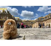 Visite guidée en petit groupe de Giverny et Versailles avec entrée billet