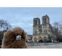 Visite guidée privée à pied de Paris avec visite de Notre-Dame