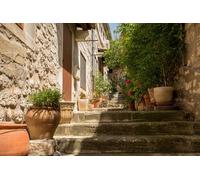 Visite guidée privée de Saint-Rémy Arles et Les Baux