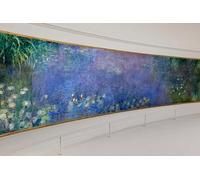Visite Guidée Privée du Musée de l Orangerie