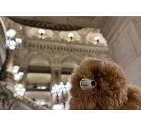 Visite guidée privée exclusive Opéra Garnier