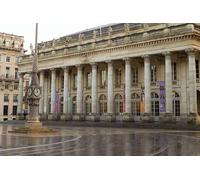 Visite privée à pied de Bordeaux