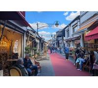 Visite privée du marché aux puces avec un guide professionnel